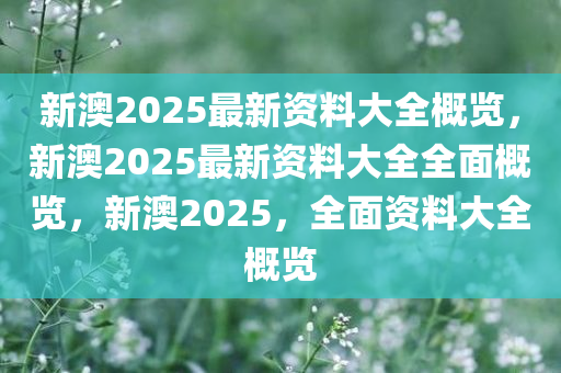 新澳2025年最新版资料,新澳2025年最新资料概览